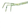 Рыхлитель 3 - зубый, 55 х 385 мм, стальной, пластиковая рукоятка, Flower Green, Palisad 62038